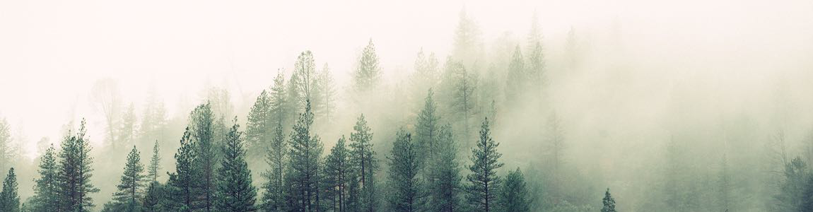 Chicago Harp Teacher